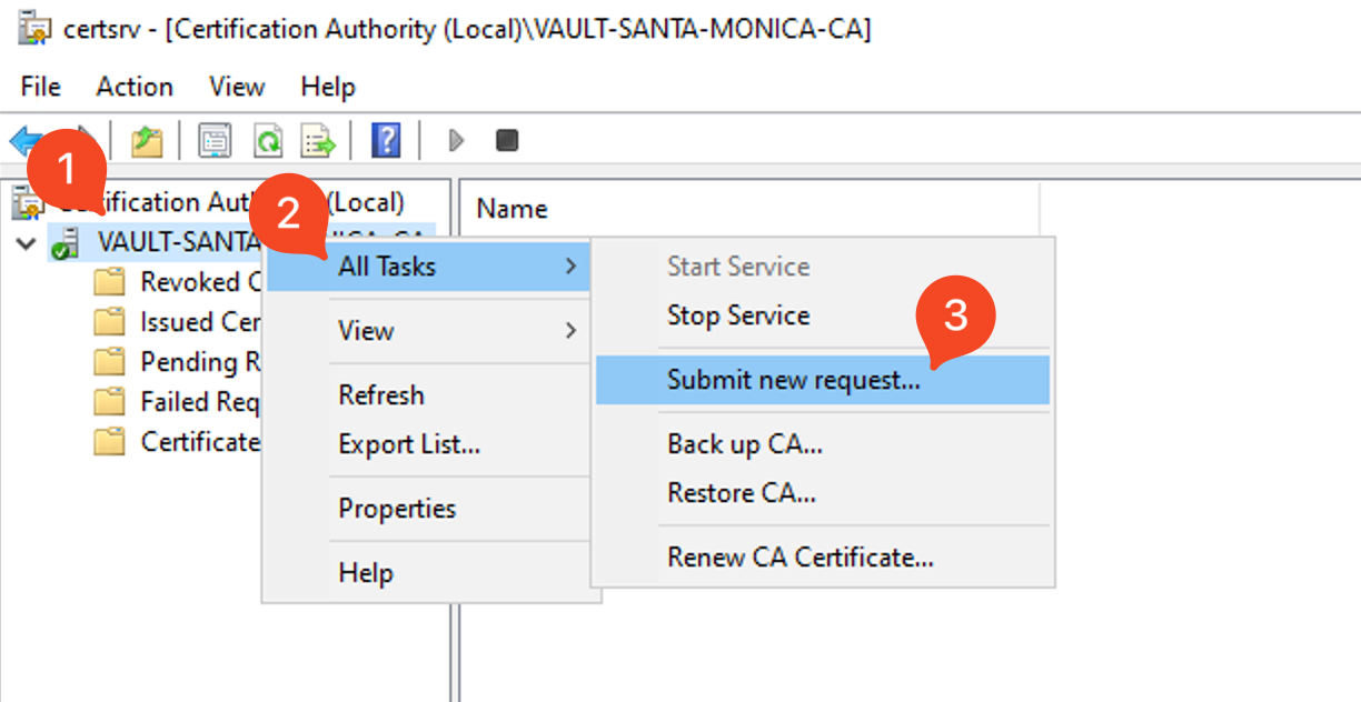 CSR Submission via CA