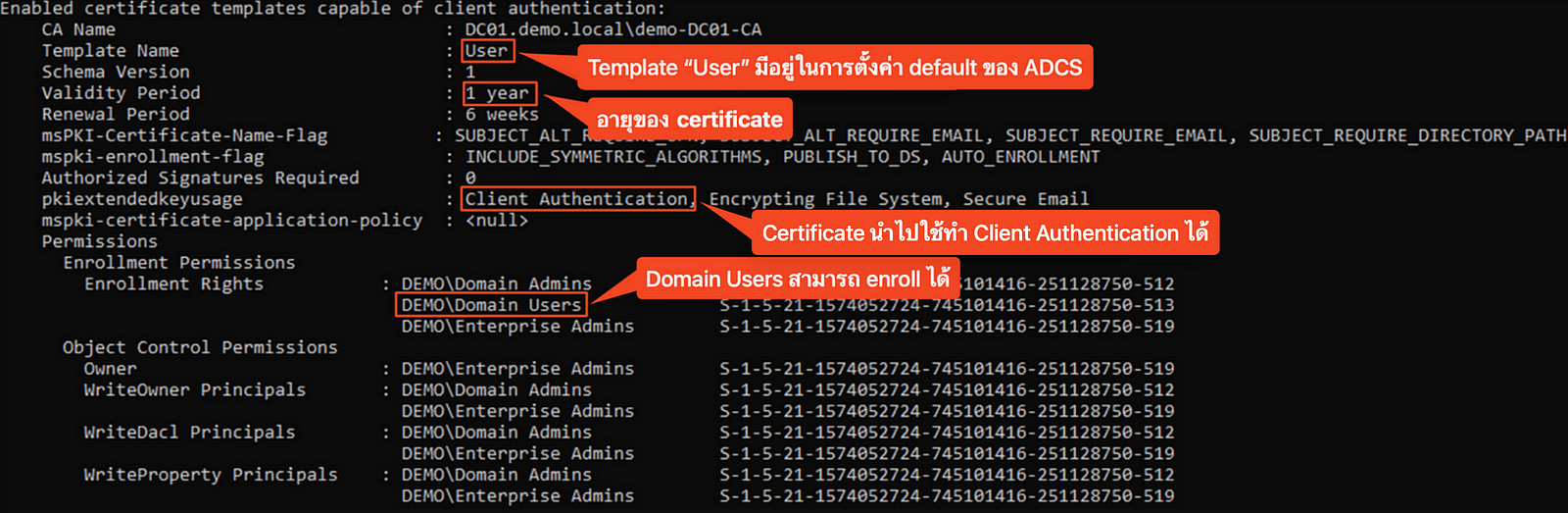 “User” certificate template details from Certify