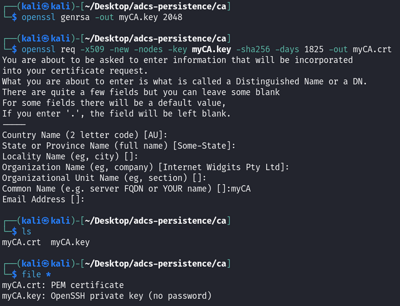 Generate rogue CA with openssl