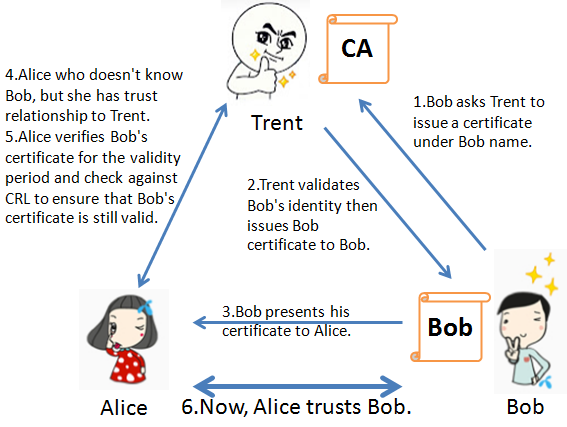 Https Insecurity