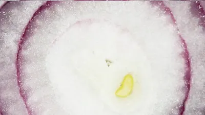 Blog preview image