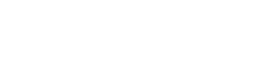 Black Kite