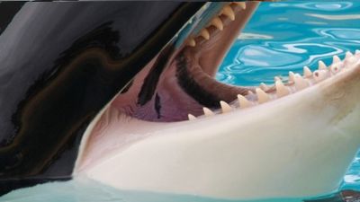 Blog preview image