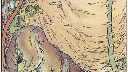 Blog preview image