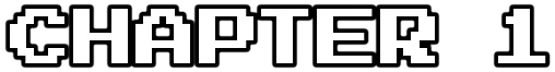 CHAPTER 1