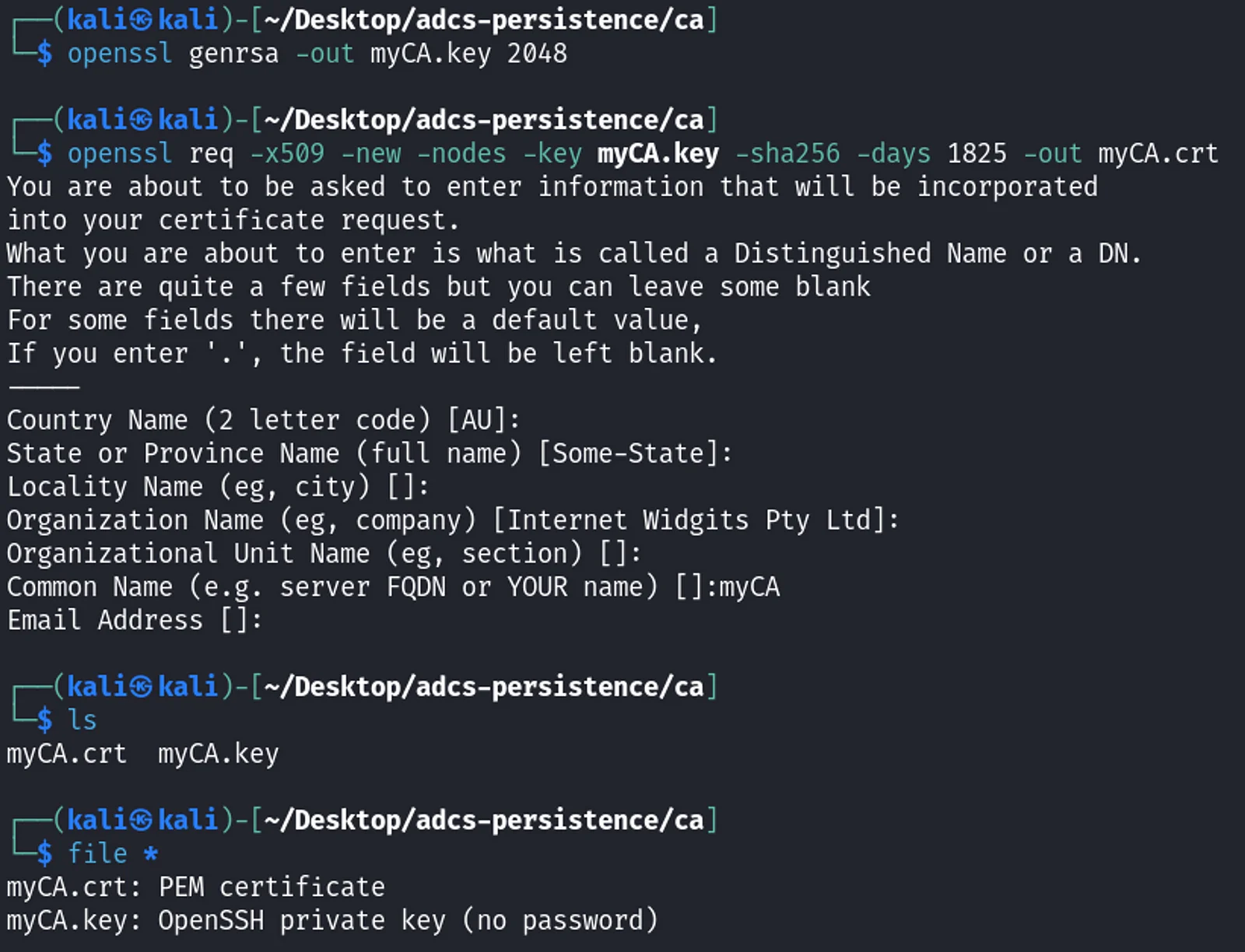 Generate rogue CA with openssl